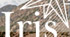 Charte graphique pour le site de rservation en ligne et de gestion des htels de la chane Iris Htels (Projet pour un lve de Supinfo 3e anne)