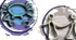 Collection des 12 Signes du zodiaque